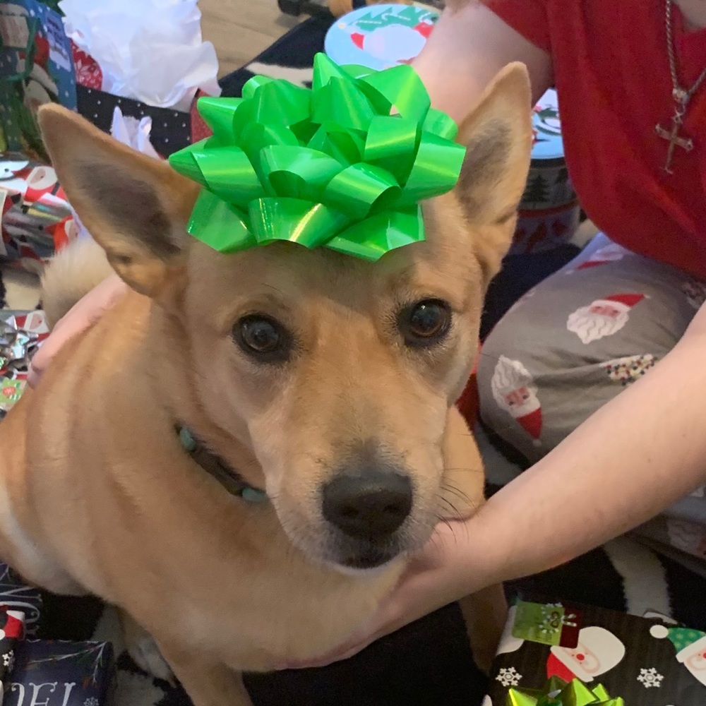 Meet your Posher, Christa